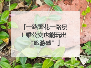 一路繁花一路景！乘公交也能玩出“旅游感”